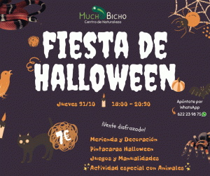 Fiesta Halloween